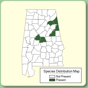 Species Distribution Map