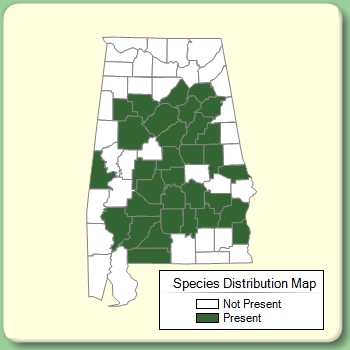 Species Distribution Map