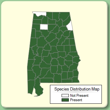 Species Distribution Map