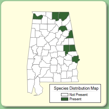 Species Distribution Map