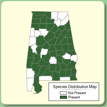 Species Distribution Map