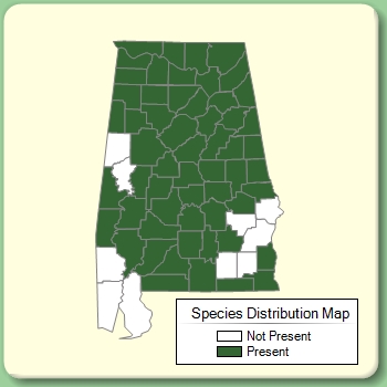 Species Distribution Map