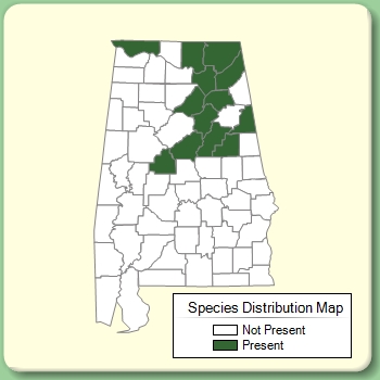 Species Distribution Map