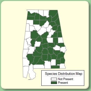 Species Distribution Map