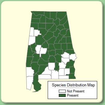 Species Distribution Map