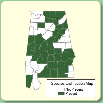 Species Distribution Map