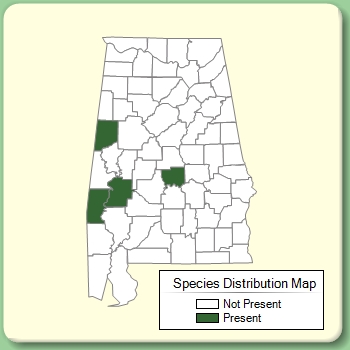 Species Distribution Map