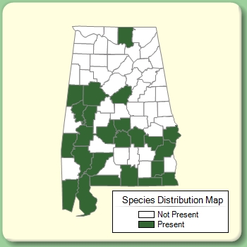 Species Distribution Map