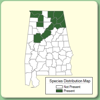 Species Distribution Map