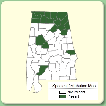 Species Distribution Map