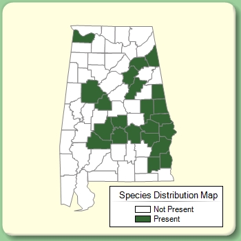 Species Distribution Map