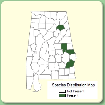 Species Distribution Map