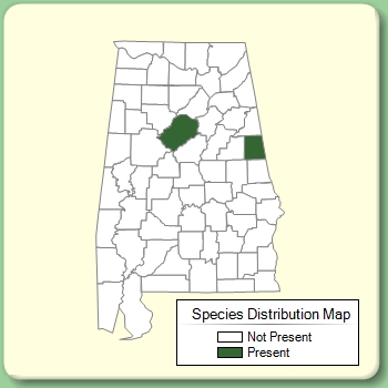 Species Distribution Map