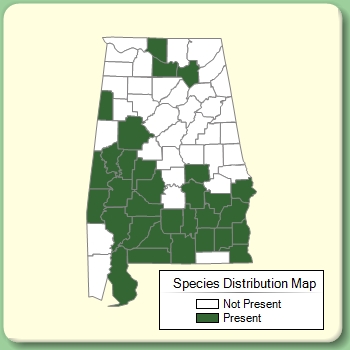 Species Distribution Map