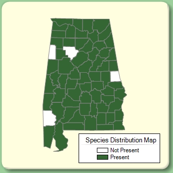 Species Distribution Map