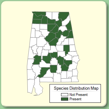 Species Distribution Map