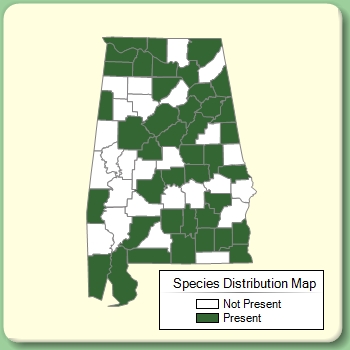 Species Distribution Map