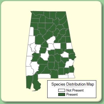 Species Distribution Map