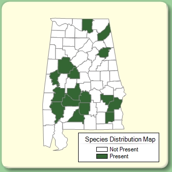 Species Distribution Map