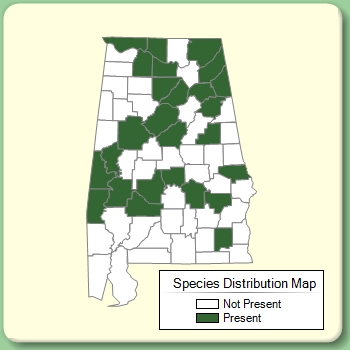 Species Distribution Map