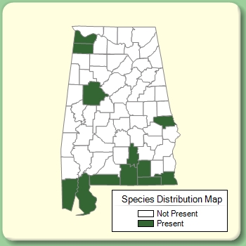 Species Distribution Map