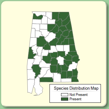 Species Distribution Map