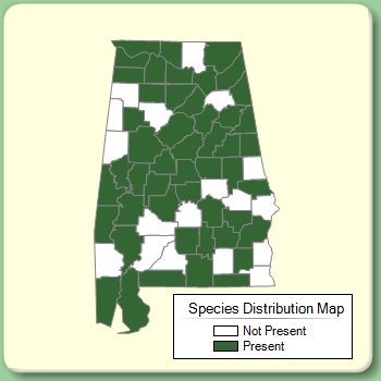 Species Distribution Map