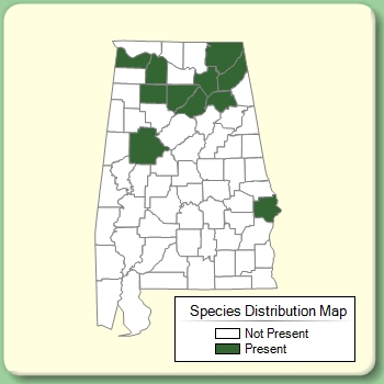 Species Distribution Map