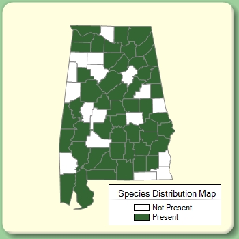 Species Distribution Map