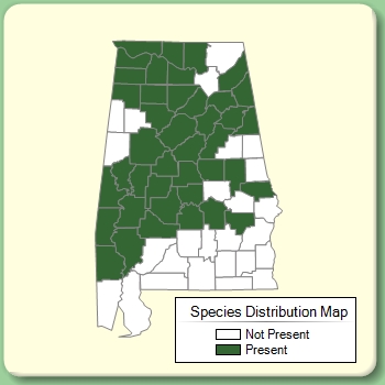 Species Distribution Map