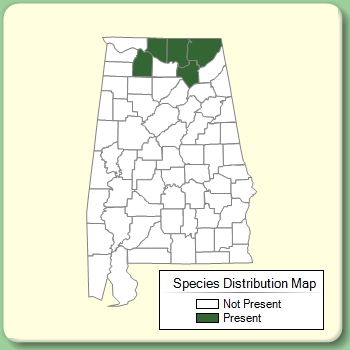 Species Distribution Map