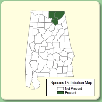 Species Distribution Map