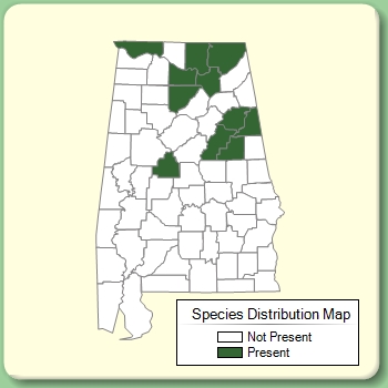 Species Distribution Map