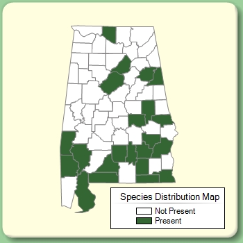 Species Distribution Map