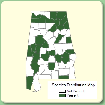 Species Distribution Map