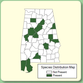 Species Distribution Map