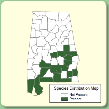 Species Distribution Map