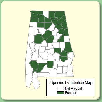 Species Distribution Map