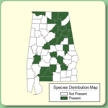 Species Distribution Map