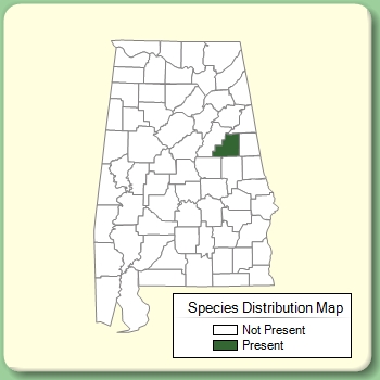 Species Distribution Map