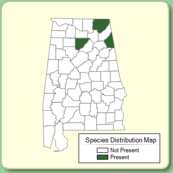 Species Distribution Map