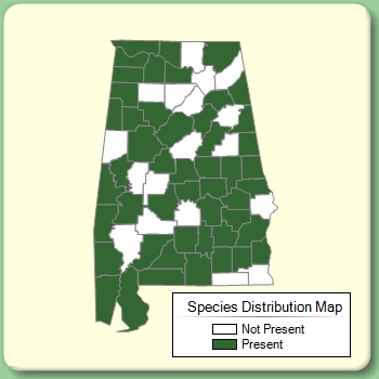 Species Distribution Map