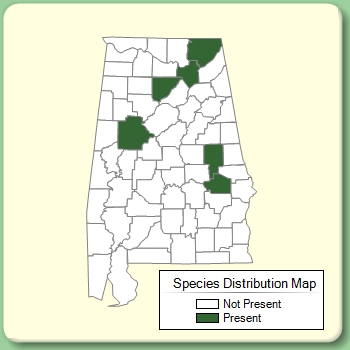 Species Distribution Map