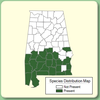 Species Distribution Map