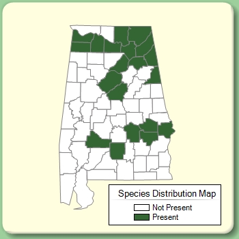 Species Distribution Map