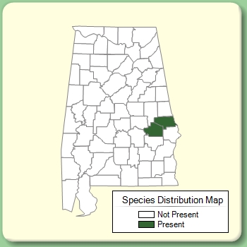 Species Distribution Map