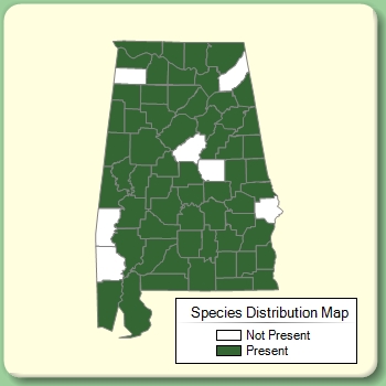 Species Distribution Map