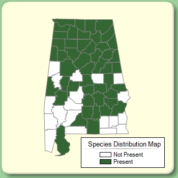 Species Distribution Map