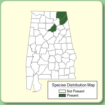 Species Distribution Map