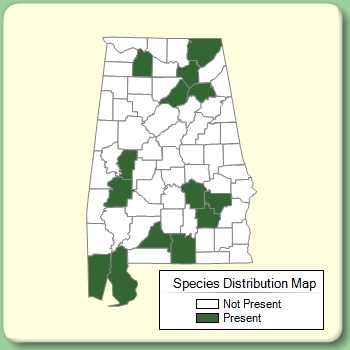 Species Distribution Map